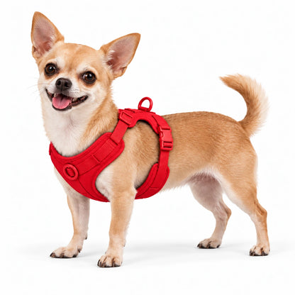 Chihuahua mit Kleinpfote-Geschirr – Rot