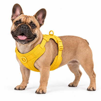 Französische Bulldogge mit Kleinpfote-Geschirr – Gelb