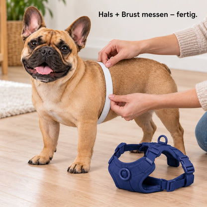 Französische Bulldogge mit Kleinpfote-Geschirr – Hals- und Brustumfang messen
